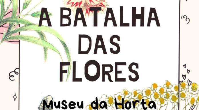 Faial – Secretaria Regional da Cultura, da Ciência e Transição Digital dinamiza oficina de Carnaval intitulada “A Batalha das Flores”