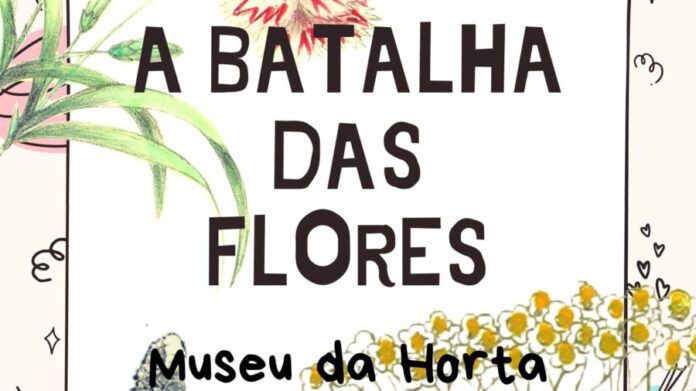Carnaval MUSEU