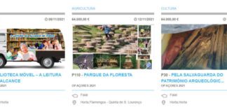Orçamento participativo: Votações terminam a 31 de janeiro