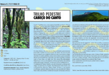 “Projeto Faial 52”: Trilho pedestre Cabeço do Canto