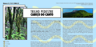 “Projeto Faial 52”: Trilho pedestre Cabeço do Canto