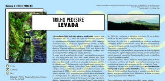 “Projeto Faial 52”: Trilho pedestre Levada