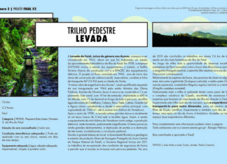“Projeto Faial 52”: Trilho pedestre Levada