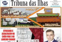 Cada edição n.º 1013, 28 de janeiro