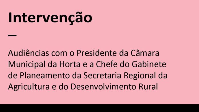 06-Audiencias Ilha Faial