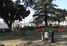 Arrancaram os trabalhos de manutenção no Jardim da Praça da República