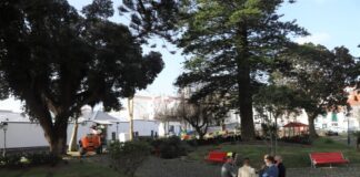 Arrancaram os trabalhos de manutenção no Jardim da Praça da República