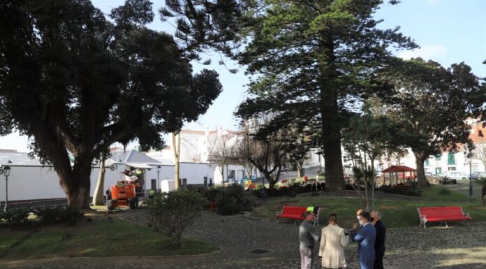 Arrancaram os trabalhos de manutenção no Jardim da Praça da República