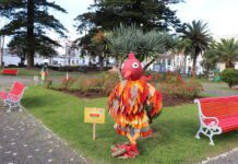 Galeria: “Tradições de Carnaval em Portugal” na Praça da República