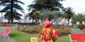 Galeria: “Tradições de Carnaval em Portugal” na Praça da República