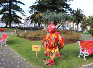 Galeria: “Tradições de Carnaval em Portugal” na Praça da República