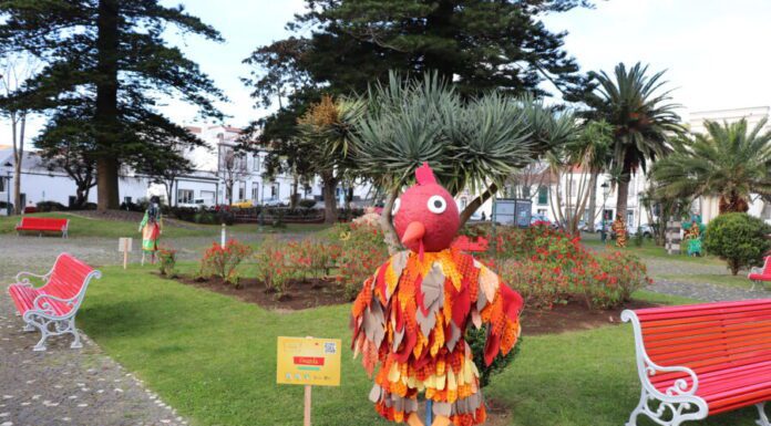 Galeria: “Tradições de Carnaval em Portugal” na Praça da República