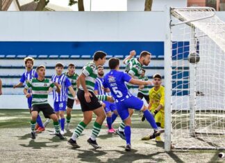 Flamengos falha revalidação de título