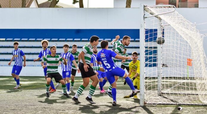 Flamengos falha revalidação de título