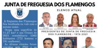 Junta de Freguesia dos Flamengos