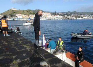 Portos dos Açores promove operação de limpeza de segurança dos fundos de serviço da bacia sul do Porto da Horta