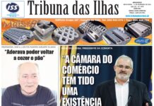 Capa edição n.º15, 11 de fevereiro
