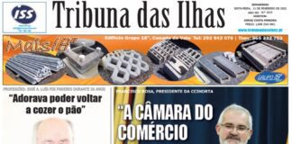 Capa edição n.º15, 11 de fevereiro