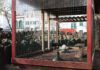Gaiola de pavões será removida do Jardim Praça da República