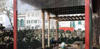 Gaiola de pavões será removida do Jardim Praça da República