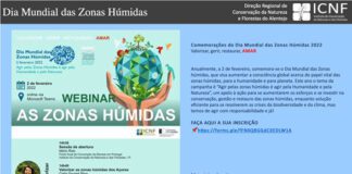 Secretaria Regional do Ambiente e Alterações Climáticas marca presença no webinar “As Zonas Húmidas”