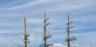 Marina da Horta recebe primeiros “yachts” do ano