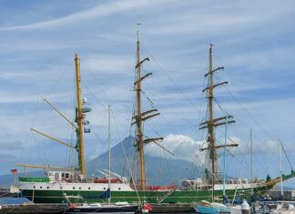 Marina da Horta recebe primeiros “yachts” do ano