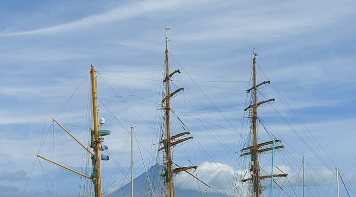 Marina da Horta recebe primeiros “yachts” do ano