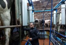 Presidente da Assembleia enaltece o papel dos agricultores no desenvolvimento dos Açores