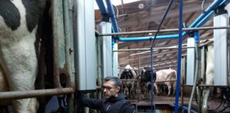 Presidente da Assembleia enaltece o papel dos agricultores no desenvolvimento dos Açores