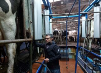 Presidente da Assembleia enaltece o papel dos agricultores no desenvolvimento dos Açores