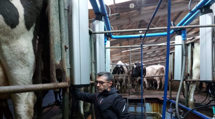 Presidente da Assembleia enaltece o papel dos agricultores no desenvolvimento dos Açores