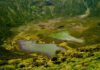 Caldeira do Faial: 50 anos de reserva natural