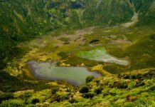 Caldeira do Faial: 50 anos de reserva natural