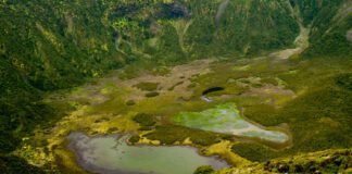 Caldeira do Faial: 50 anos de reserva natural