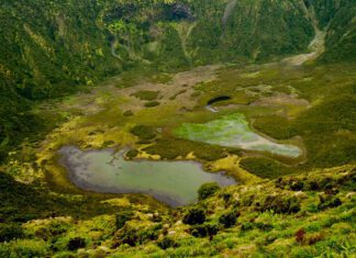 Caldeira do Faial: 50 anos de reserva natural