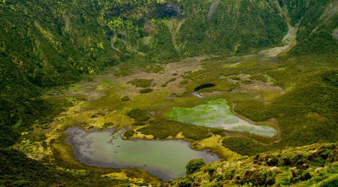 Caldeira do Faial: 50 anos de reserva natural