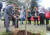 Município assinala Dia Mundial da Árvore com a plantação de árvores na Praça da República