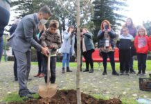 Município assinala Dia Mundial da Árvore com a plantação de árvores na Praça da República