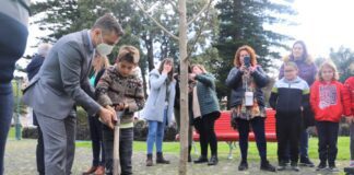 Município assinala Dia Mundial da Árvore com a plantação de árvores na Praça da República
