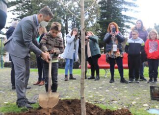 Município assinala Dia Mundial da Árvore com a plantação de árvores na Praça da República