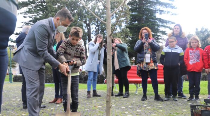 Município assinala Dia Mundial da Árvore com a plantação de árvores na Praça da República