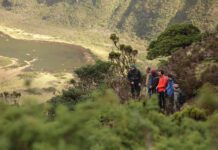 “Sem esta medida tenho a certeza que a Caldeira do Faial estaria mais estragada”