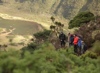 “Sem esta medida tenho a certeza que a Caldeira do Faial estaria mais estragada”