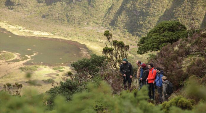 “Sem esta medida tenho a certeza que a Caldeira do Faial estaria mais estragada”