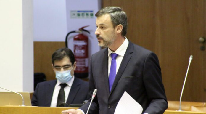CDS-PP saúda a liberdade conquistada a 25 de Abril e consolidada a 25 de Novembro