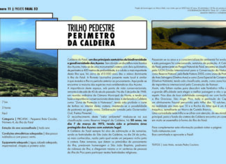 Projeto Faial 52: Trilho pedestre Perímetro da Caldeira