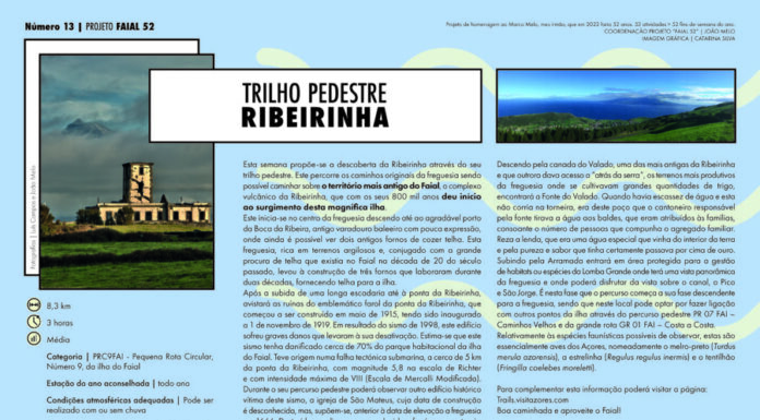 Projeto Faial 52: Trilho Pedestre – Ribeirinha