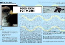 “Projeto Faial 52” n.º14 – Paisagens sonoras dos Açores