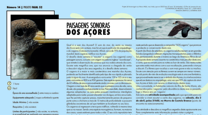 “Projeto Faial 52” n.º14 – Paisagens sonoras dos Açores